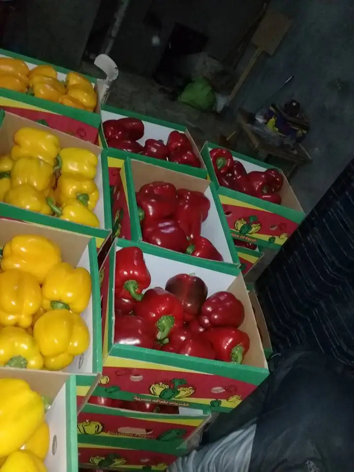 
Preserved Fresh Capsicum 