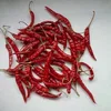 Fresh Birds Eye Teja Dried Red Chilli Stem Less For Sale
