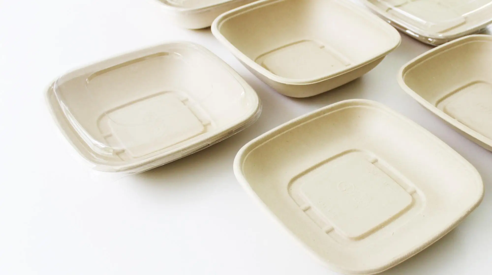 Easypack 24oz Biodegradable Paper Take Away Hot Food Plate With Anti