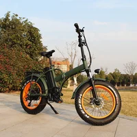 

Ristar fat tire 20 inch folding electric bike 500w chinese ebike/e bicycle RSD507
