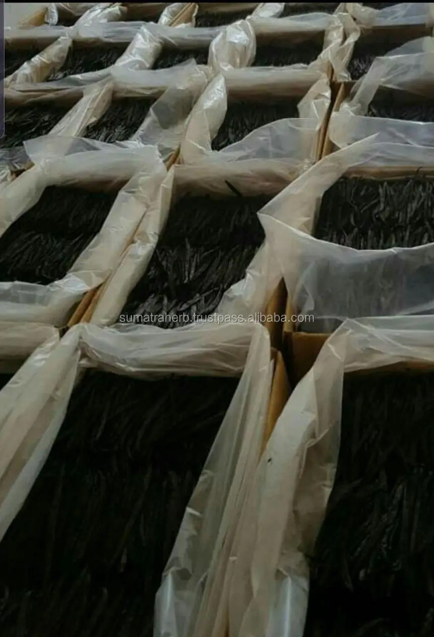 
Hot selling plani vanilla beans, vanilla beans kg, vanilla beans with best price 