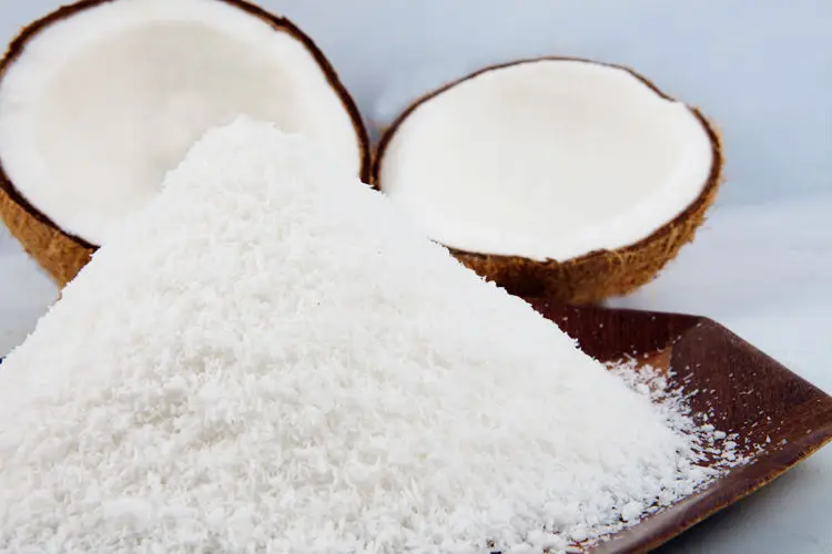 desiccated coconut powder/coconut powder for export