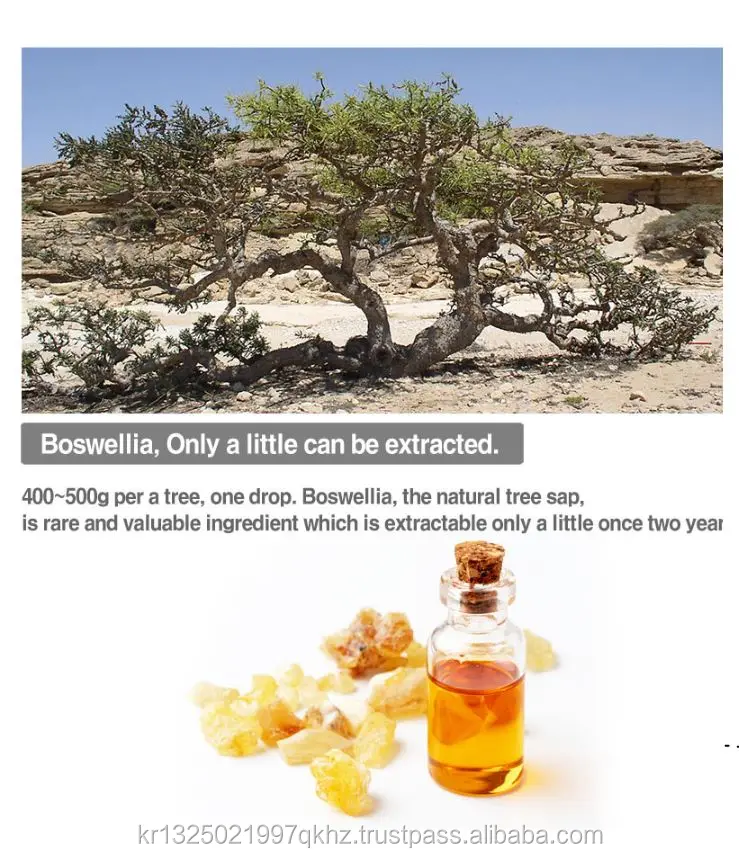 .Curcumin GoldJPG (6).JPG