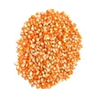 White and Yellow Maize Corn wholesales price here...