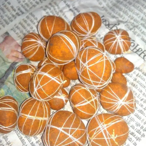 100 whole gallstone2.jpeg