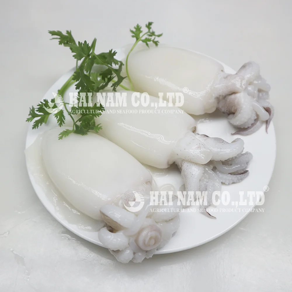 
2 years Shelf Life Best Price High Quality Frozen Cuttlefish Whole cleaned Raw with HACCP Certification from Vietnam 