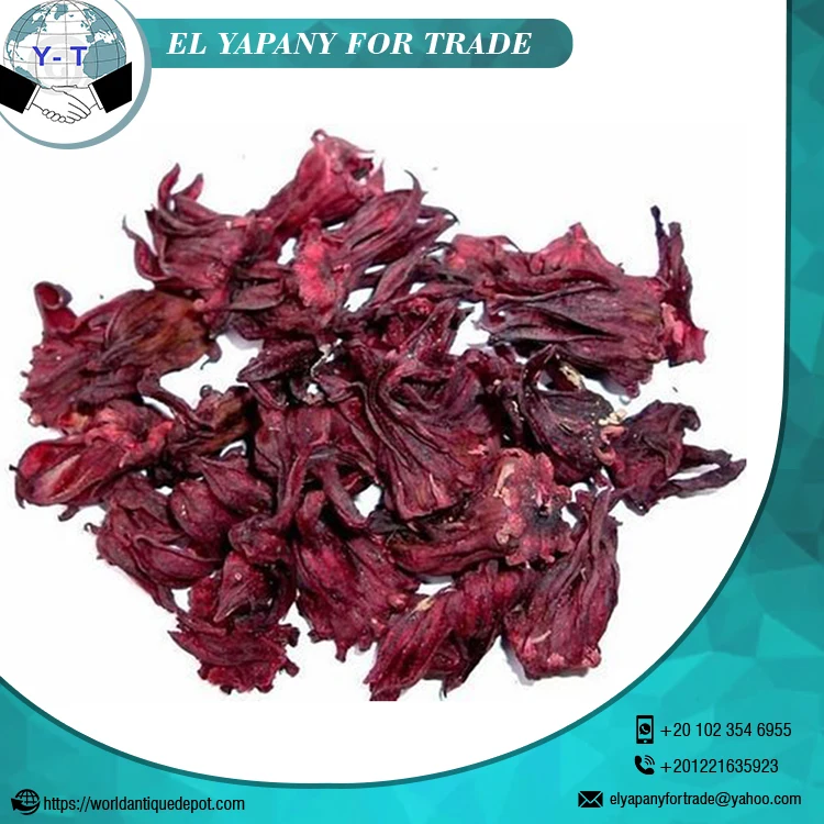 Premium Quality Dried Hibiscus Flowers Buy Dried Hibiscus Flowers