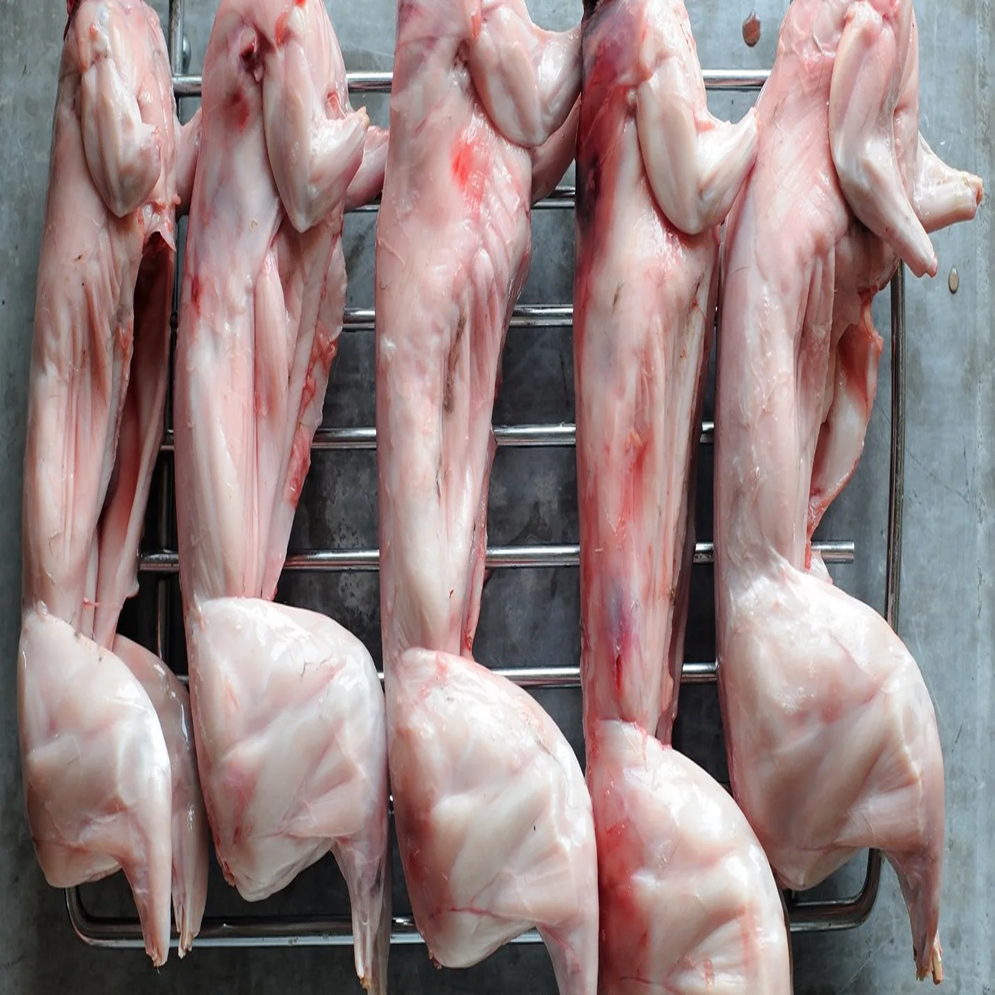 
Best TOP QUALITY Rabbit Meat +Frozen Whole Rabbit Meat / Frozen Rabbit Meat and Part 