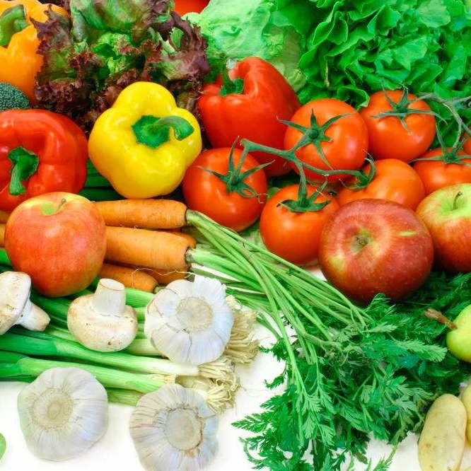 
Smart Industrial fruit dehydrator food drying vegetable dehydration machine 