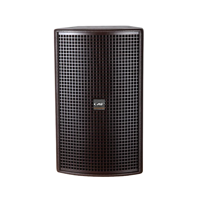 active speaker 10 inch