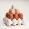 /product-detail/farm-fresh-brown-chicken-table-egg-62013030169.html