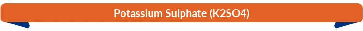 Title.jpg