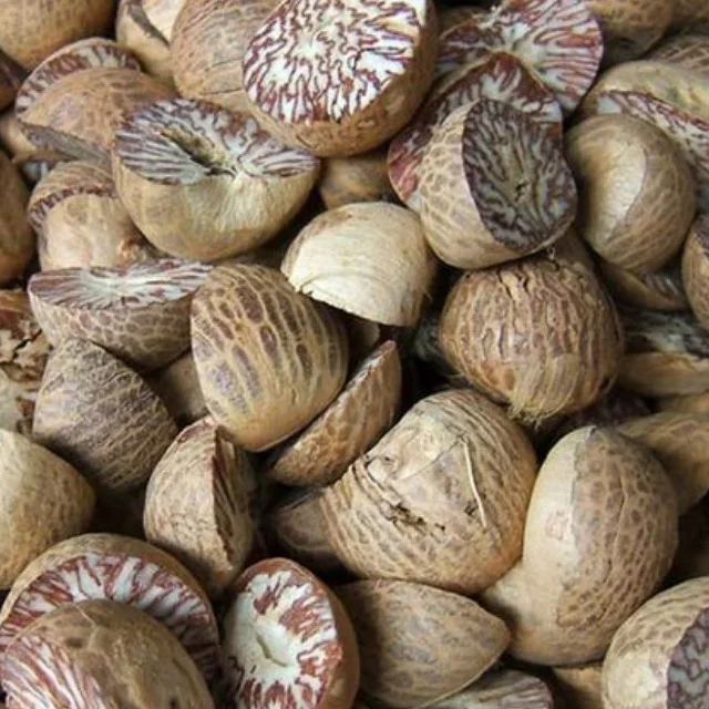 
High Quality Indonesia Whole Dried Betel Nut / Areca Nuts for Wholesale 