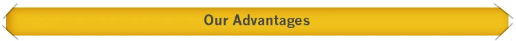 Our-Advantages-t.jpg