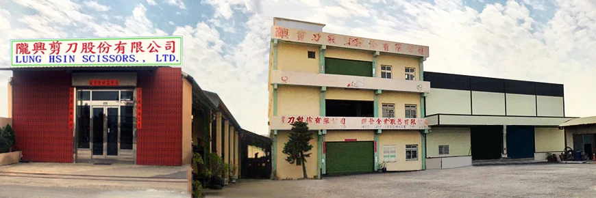 Lung Hsin-2018.jpg