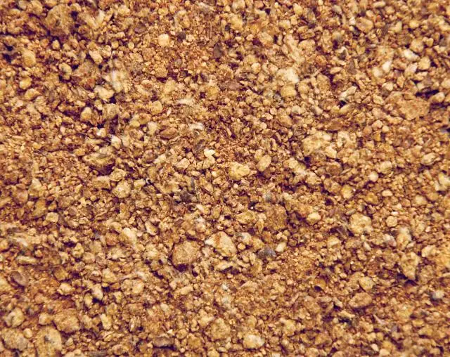 
Cotton Seed Meal 