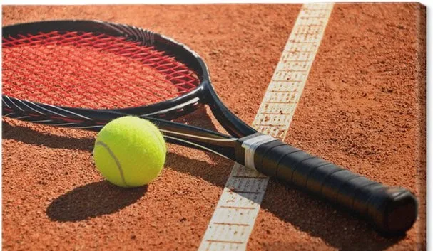 
Tennis Ball High Quality Tennis Ball Custom Printed Training Tennis Ball 