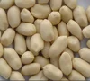 Raw groundnut 60 70 peanut kernel.