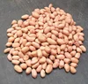 GROUND NUTS KERNELS H.P.S. JAVA TJ(60/70)