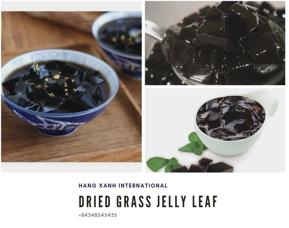 Vietnam Grass Jelly / Black Grass Jelly Amy (whatsapp/line/viber 84376982174) Buy Mesona