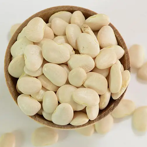 
High Quality Dried Lima Beans 