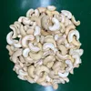BB/SP/LP/WS/W320/W240 raw cashew kernel for sales