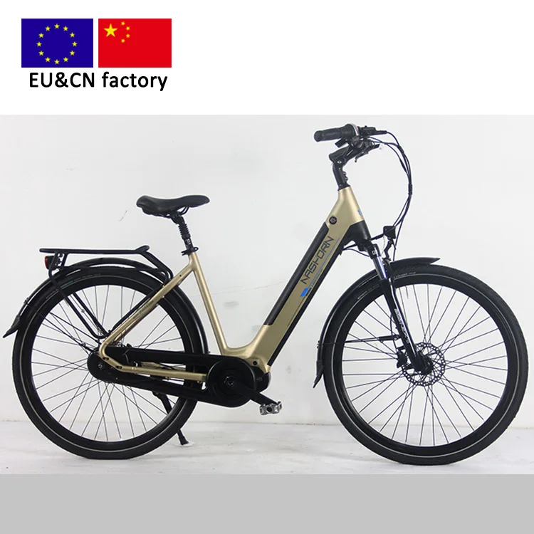 dutch electric bike