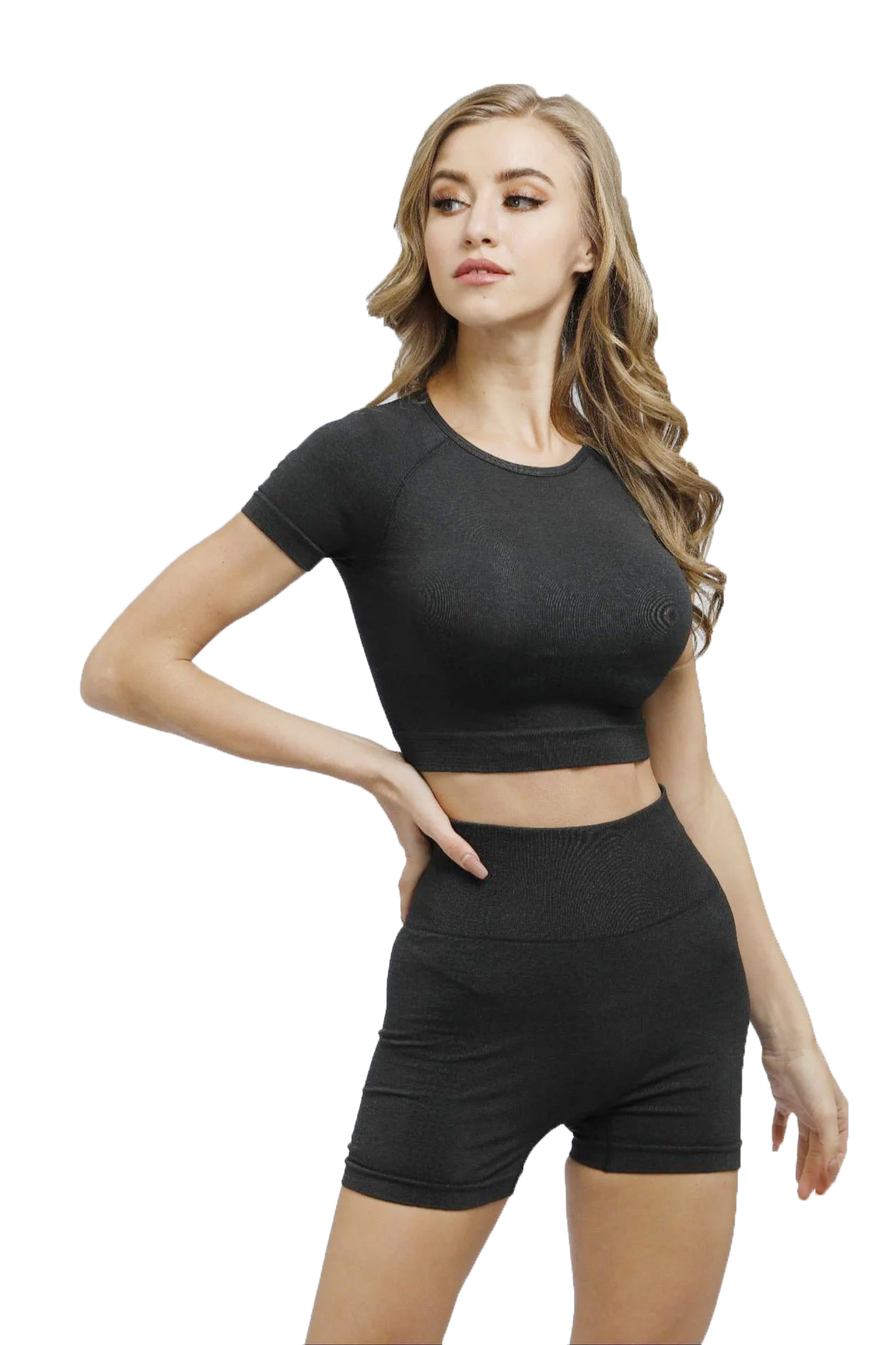 Two Piece Set Yoga Seamless Suit Yoga Set Custom Logo Short Sleeve Crew Neck Yoga Top Buy