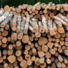 timber/wood/lumber for chemical casks, vat, wine barrel cheap