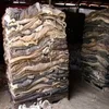 Wet Salted Cattle Hides | Cow Skins /Buffalo hides for sale