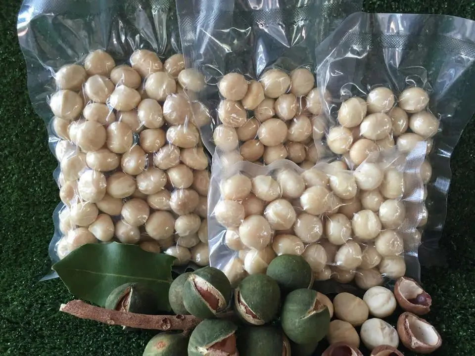 Cheap And Competitive Price Macadamia Nuts In