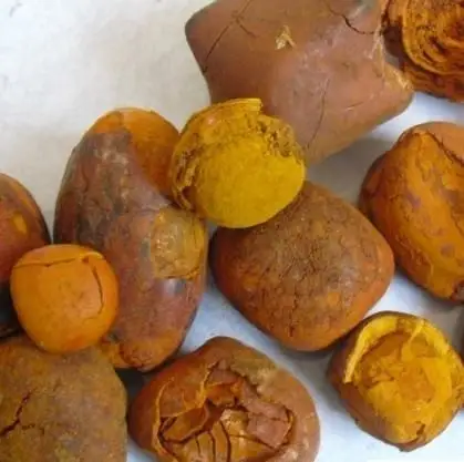 G6.jpg
