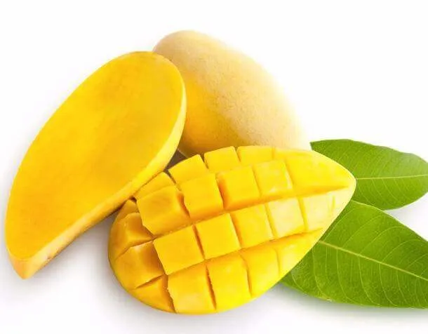 Frozen Mango Chunks Vietnam/ Frozen Mango Dices 20x20mm/ Iqf Mango
