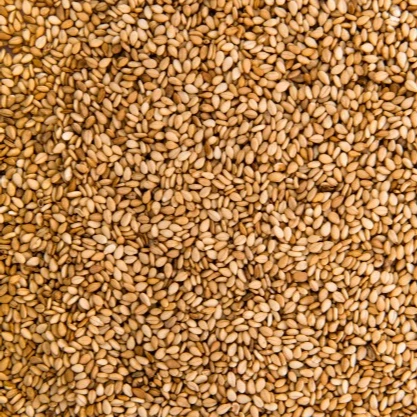 
Dried Golden Sesame Seeds 100 % Nature 2020 