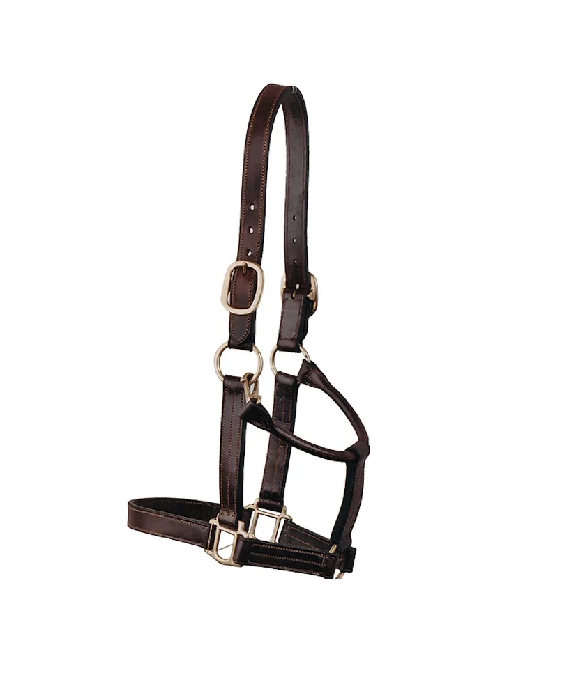 s-l1600 (4)halter.jpg
