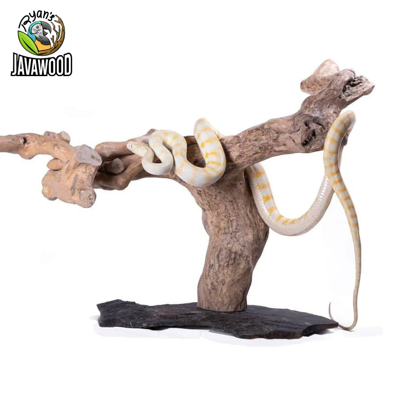 Java Wood Reptile Slate Base Terrarium Wooden Climbing Wood Branches For Basking Original From