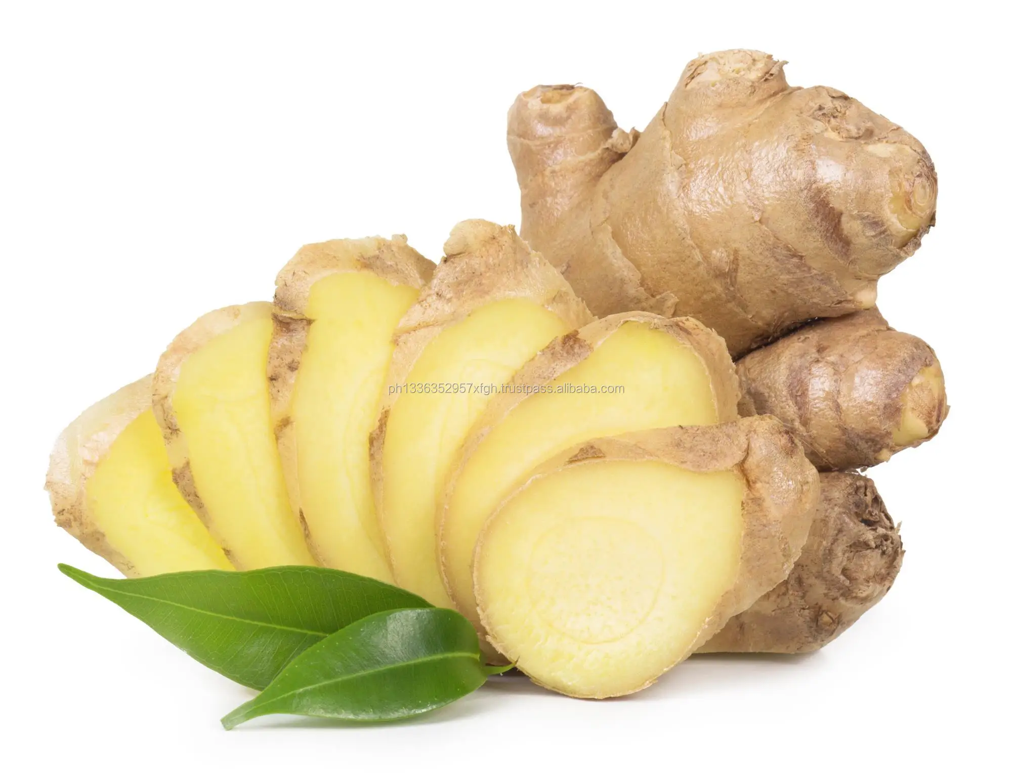 freshly harvested high quality fresh ginger
