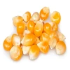 Dry Maize/Dried Yellow Corn/Dried Sweet Corn Best Price good to go