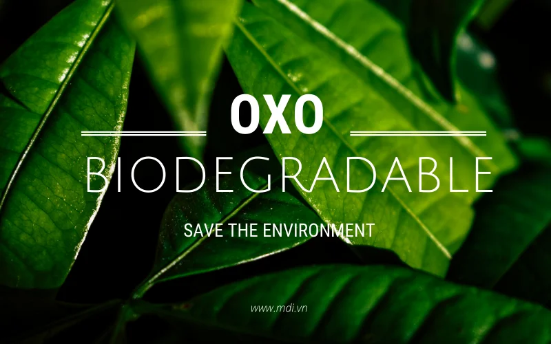 Custom Design Biodegradable Packaging Plastic Bags With Logos T Shirt