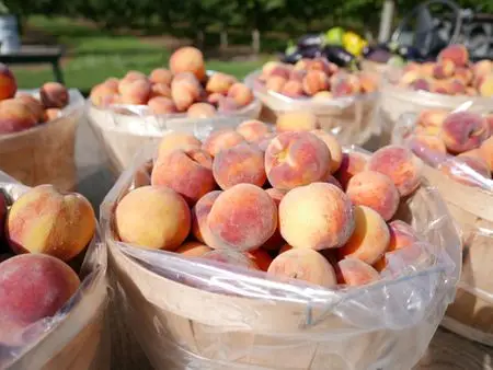 vietnam fresh white peach type 4 - buy 越南新鲜白桃,美味的新鲜
