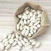 Perfect short white kidney beans