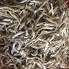 /product-detail/dried-kapenta-fish-100-sun-dried-sprat-anchovy-fish-62011366617.html