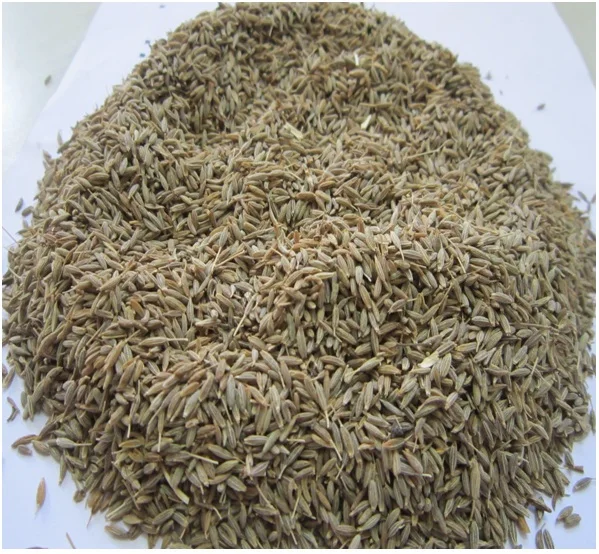 CUMIN SEED SINGAPORE.jpg