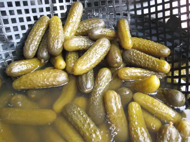 
cornichons Pickled cucumbers gherkins 