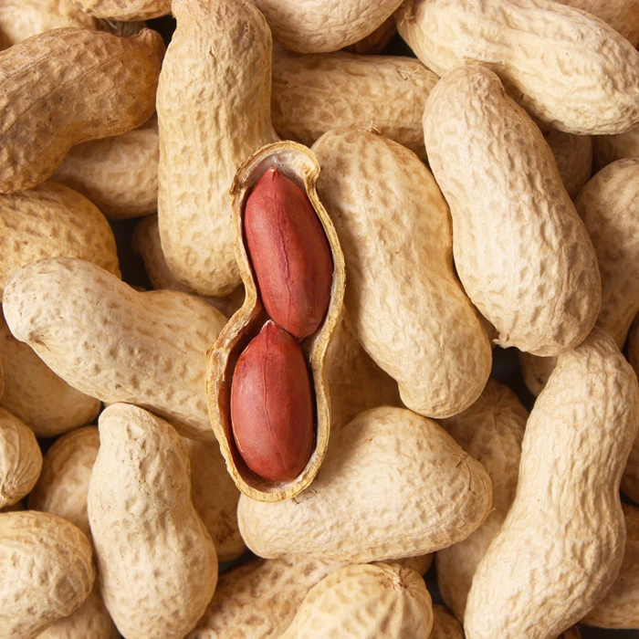 
Roaster Blanch Peanuts 
