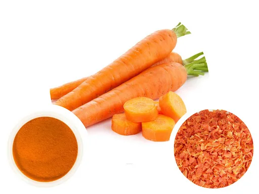 Dried carrots/fresh carrot for export_Competitive price and top quality/carrot price (+84 983 028 718)_dried carrot.