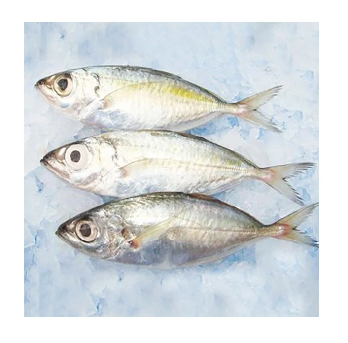 
Frozen Big Eye Scad whole cleaned from Vietnam 