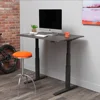 SmartMoves by Howard Miller Dual Motor Electric Adjustable Height Desk 72" Wide x 30" Long