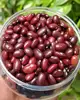 kidney beans dry black beans