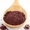 Top quality Medicine grade High Quality organic acai berry extract powder